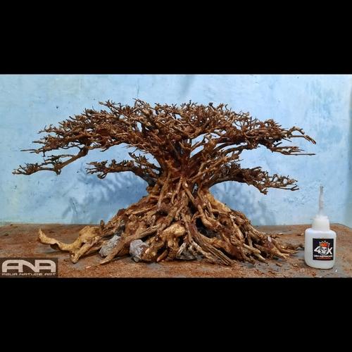 Jual bonsai santigi pasir aquascape Kota Depok aquanatureart