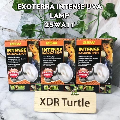 Gambar EXOTERRA INTENSE UVA 25WATT LAMPU PANAS REPTIL TORTO KURA DARAT AIR dari XDR TURTLE undefined Tokopedia