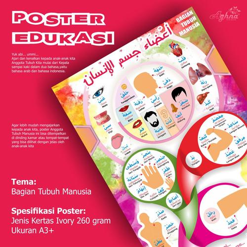 Anggota Tubuh Dalam Bahasa Arab