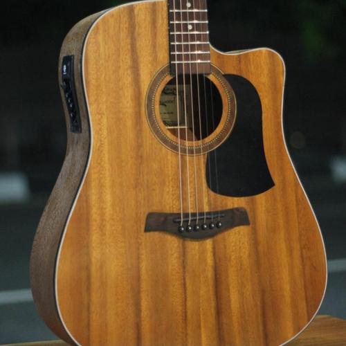 Foto Produk Gitar akustik elektrik Tuner Camwood IWC-235 NSK ORI dari JakartaUndercover.id