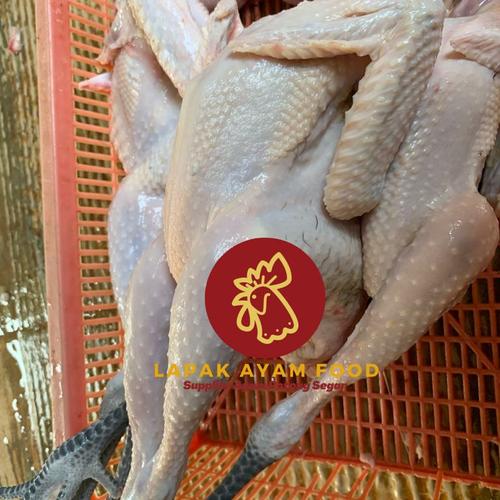 Foto Produk Ayam Kampung Fresh dari Lapak Ayam Food
