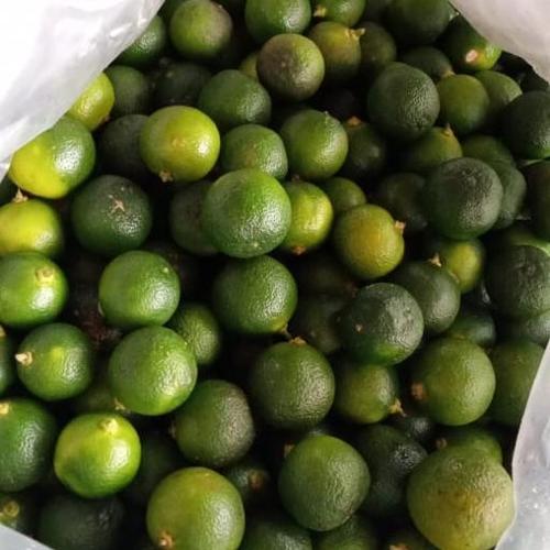 Foto Produk jeruk sonkit jeruk kunci lemon cui dari Halona Utama