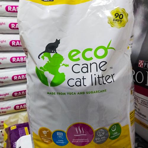 eco kitty litter