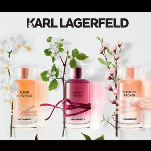 Jual Karl Lagerfeld Parfum 100ml EDP - Fleur de Pecher - Kota Bandung -  Deecosmeoriginal | Tokopedia