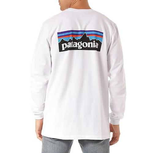 Jual longsleeve Patagonia P6 