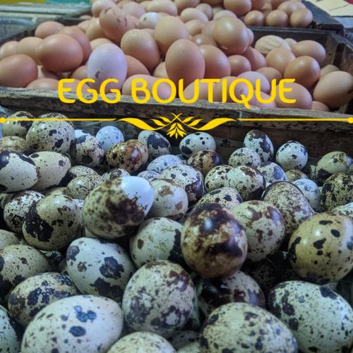 Jual Telur Puyuh Mentah 1 Kg Jakarta Utara Egg Boutique 