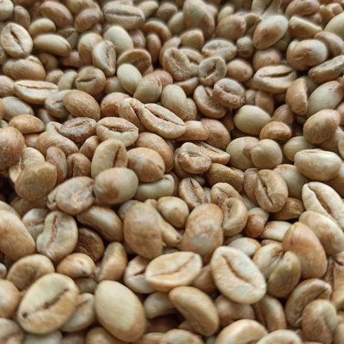 Foto Produk Kopi Robusta Temanggung Green Bean dari Rumah Kopi Temanggung