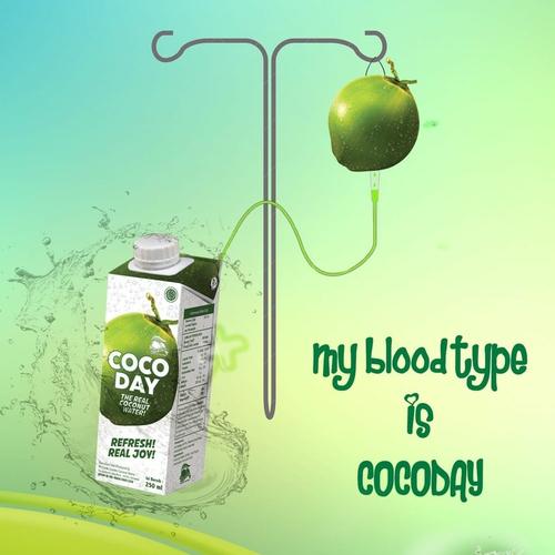 Foto Produk Cocoday air kelapa asli 250 ML X 24 psc dari toko dua putra