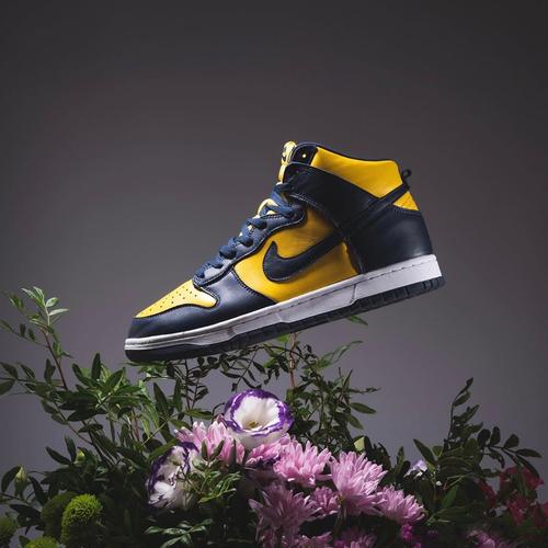 Nike Dunk High SP Retro \
