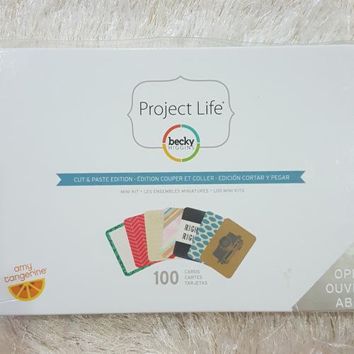 Project Life Fototaschen Seiten 15,2x20,3cm - Scrapbooking Zubehör 12 Stück