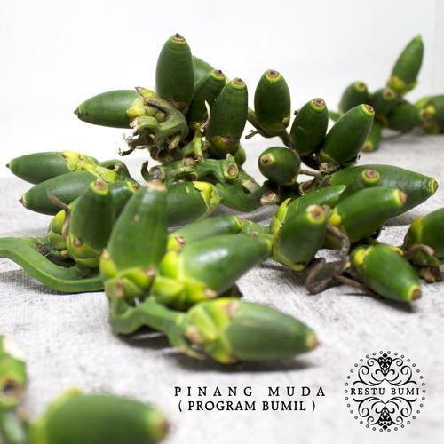 Foto Produk Buah Pinang Muda Untuk Program Bumil 250 Gram dari RESTU BUMI PERTIWI