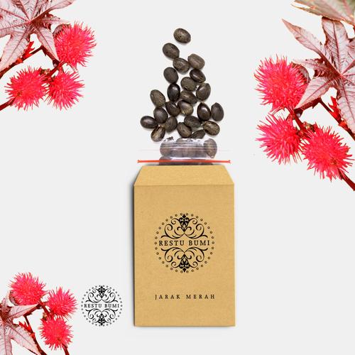 Foto Produk Benih Biji Jarak Merah | Jatropha Gossypifolia L dari RESTU BUMI PERTIWI