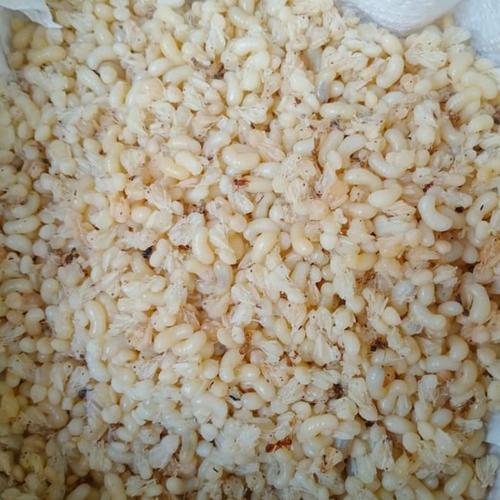 Gambar Kroto Super Telur Semut (Besar) Makanan Burung Umpan Pancing 100 Gram - 50 gram dari Krotopedia ID Kota Tangerang Tokopedia