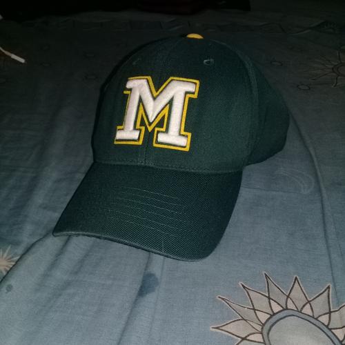 Topi MLB Michigan Flexfit - Dark Green 