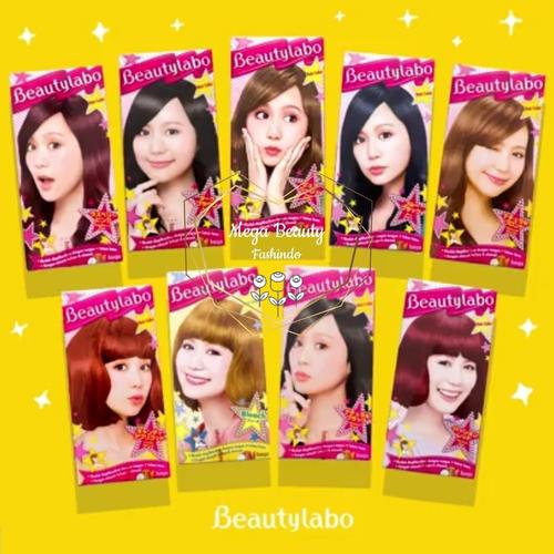 Foto Produk Beautylabo Hair Color Hoyu (Beauty Labo) Japan - Dark Brown dari Mega Beauty Fashindo