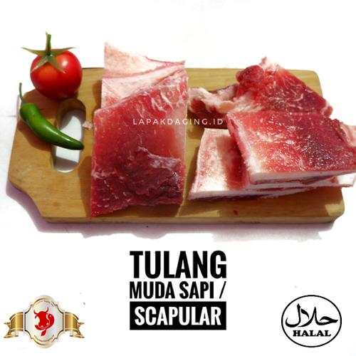 Gambar Tulang Muda Sapi | Scapular 1kg dari BERKAH JAYA MEAT undefined Tokopedia