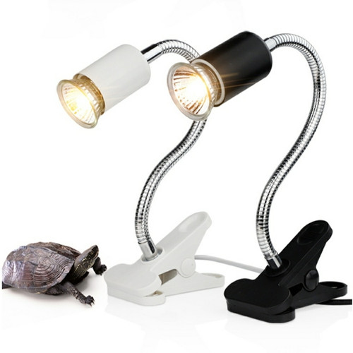 battery powered heat lamp for reptiles