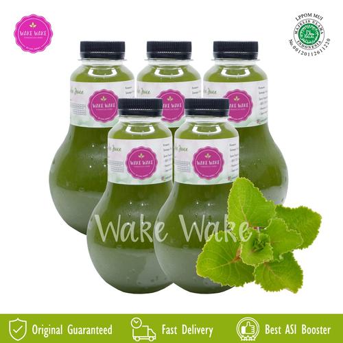 Gambar Wake Wake Jus Daun Bangun Bangun isi 5 Botol dari Wake Wake Jakarta Pusat Tokopedia