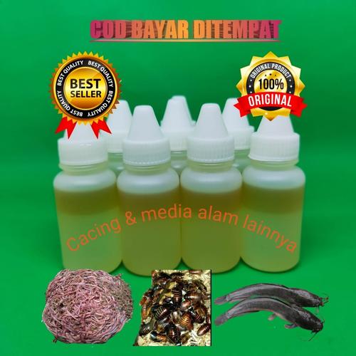 Foto Produk Essen Micro Cacing dari Sero Laut