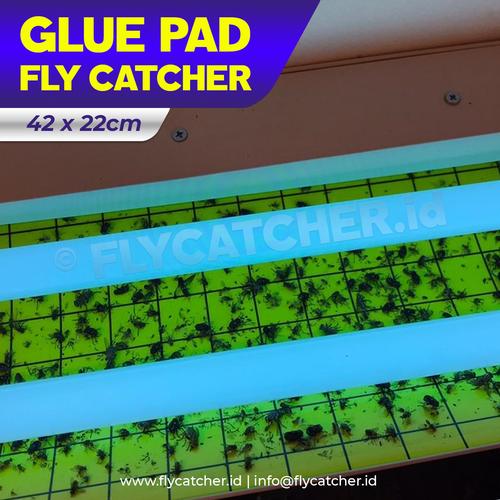 Foto Produk Lem Lalat / Glue Pad / Glue Board for Fly Catcher Size 42x22cm dari BIOTROOPS