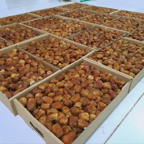 Gambar Kurma SUKARI AL-MADINA kemasan 3kg dari kurmaonlinestore Jakarta Pusat Tokopedia