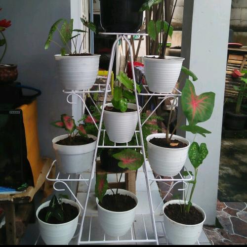 Jual Rak Bunga Tanaman Hias Minimalis Bertingkat 9 Dudukan Pot Besi Kota Bandung Aryanishoping Tokopedia