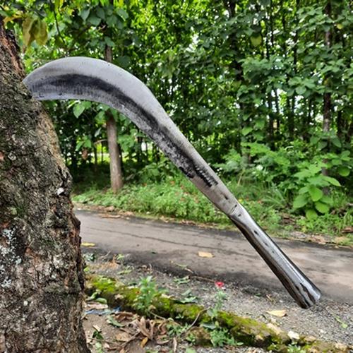 Foto Produk Golok Bendo GAGANG BAJA Babat Semak - Arit Sabit Rumput Alang Gajahan dari Grosir Alat Perkebunan