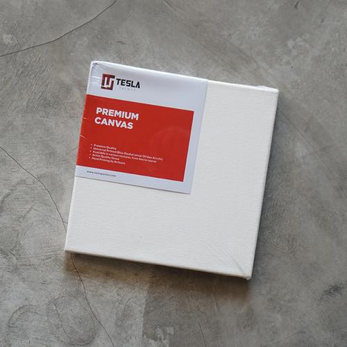 Gambar Tesla Paints Premium Canvas 20 x 20 cm dari chroma-artshop Kota Medan Tokopedia