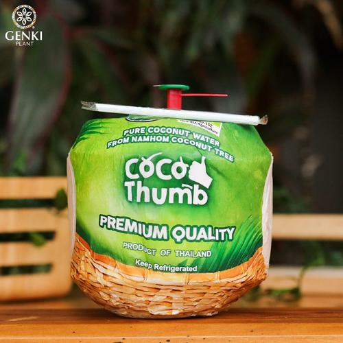 Gambar Coco Thumb Kelapa Muda Thailand Organik - 1 pc dari Genki Plant Jakarta Utara Tokopedia