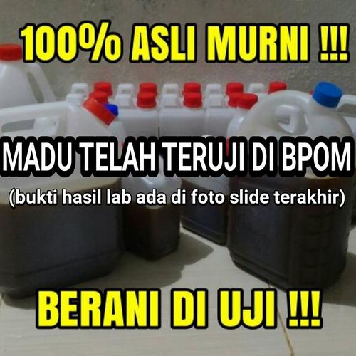 Foto Produk Madu Hutan / Madu Hitam Lebah Liar ASLI MURNI 100% dari Madu Rimbo Murni Jambi
