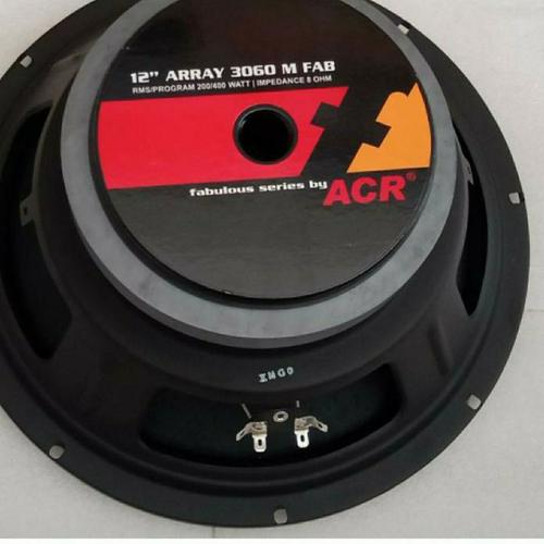 Speaker ACR fabulous 12 inch line array 