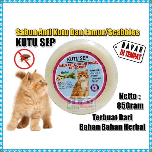 Sabun Anti Kutu dan Jamur Scabbies KUTU SEP 85 gram di Mushab shopping   Tokopedia