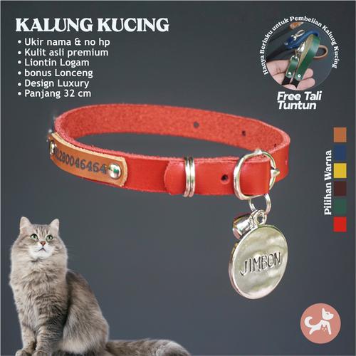 Foto Produk Kalung Kucing Nama Liontin Stainless Steel - Treat And Tail - Biru dari Treat And Tail