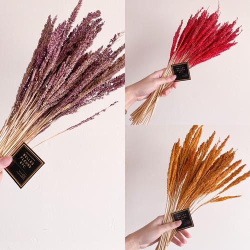 Gambar Jawan Rustic Grass in color/ rumput jawan warna bunga kering - Tosca dari BellesFleursETC Jakarta Utara Tokopedia