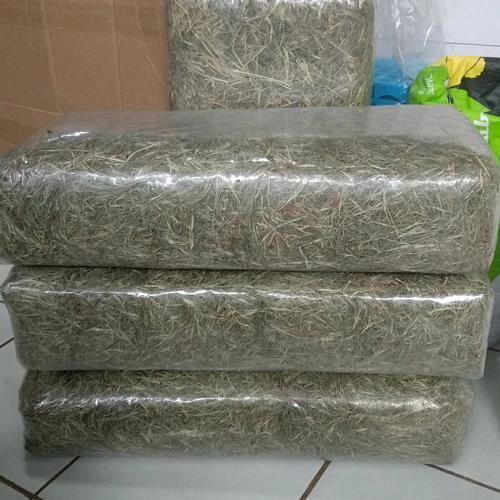 Foto Produk Rumput Hay Lokal, (Dactylon Hay) dari Azrina Rabbits