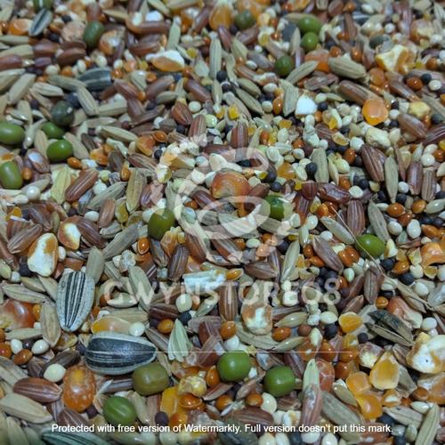 Foto Produk Makanan hamster 1kg harga termurah dari Gwynstore08