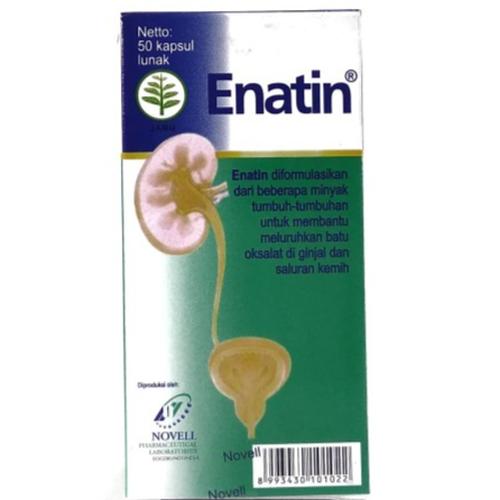 Foto Produk ENATIN BOTOL ISI 50 CAP dari Nutree pharma