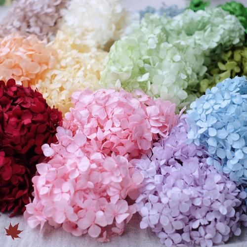 Foto Produk Preserved Hydrangea | Florever | Bunga Alami diawetkan - Pearl white dari PREFLEUR ONLINE