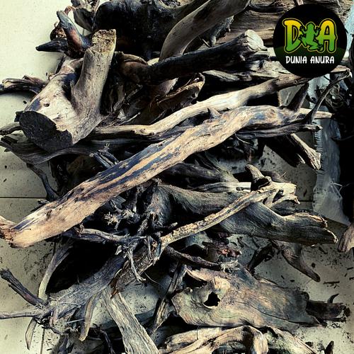 Foto Produk Kayu Santigi Laut ukuran S dari Dunia Anura
