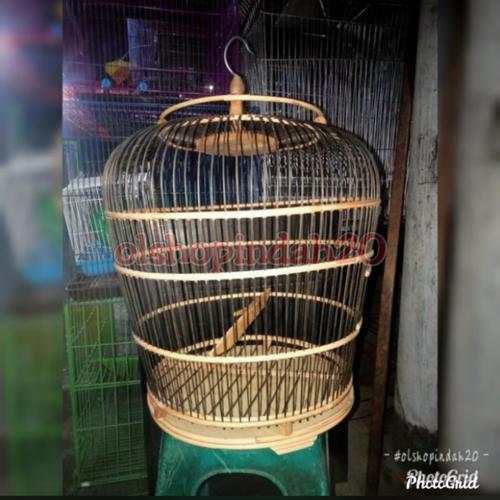 Jual Sangkar Burung Puter Di Lapak Raana Qurani Bukalapak