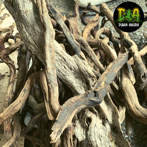Foto Produk Kayu Santigi Laut ukuran M dari Dunia Anura