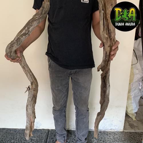 Foto Produk Kayu Santigi Laut ukuran XL dari Dunia Anura