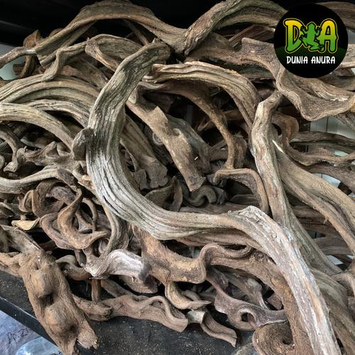 Foto Produk Kayu Frankenstein dari Dunia Anura