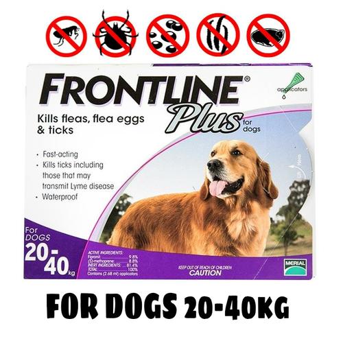 frontline large dog