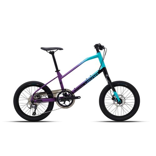 Sepeda Mini Velo 10 Speed Urban Bike 