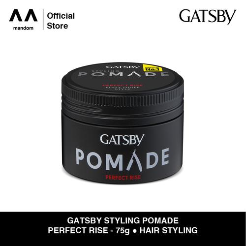 Gambar GATSBY Styling Pomade Perfect Rise 75g dari MandomOfficial Tokopedia