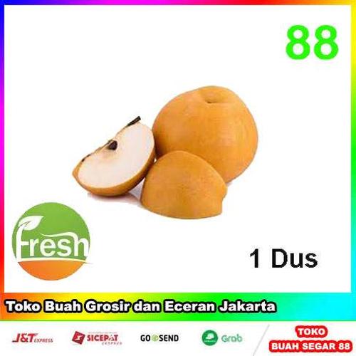 Gambar Pir Pear Singo rrc 1 dus 9kg dari Toko-Buah-88 Jakarta Barat Tokopedia