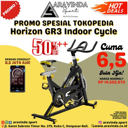Indoor Cycle Mewah HORIZON GR3 
