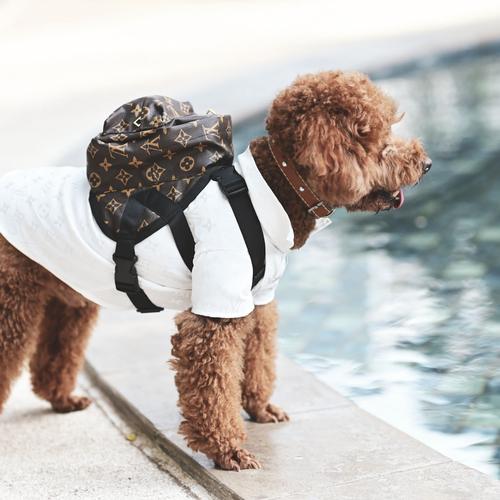 cat harness backpack