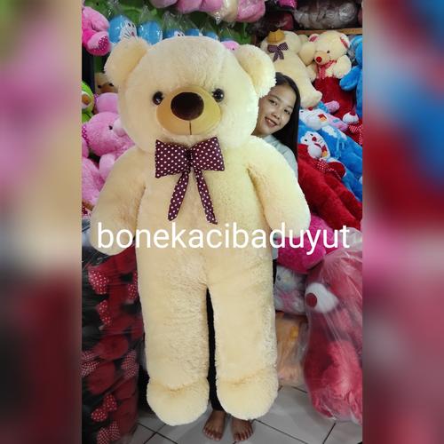 boneka super jumbo 2 meter boneka super jumbo 2 meter